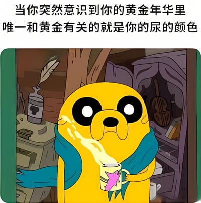 图片上方配有文字“当你突然意识到你的黄金年华里唯一和黄金有关的就是你的尿的颜色”，下方是动画《探险时光》中的角色Jake（杰克）。Jake呈黄色，戴着蓝色围巾，手持一个印有粉色星星图案的杯子，表情悲伤沮丧，额头有汗珠，背景是带有羽毛笔、小提琴盒等物品的木质房间。整体通过幽默自嘲的文字结合角色的悲伤表情，形成一种无奈又搞笑的氛围。