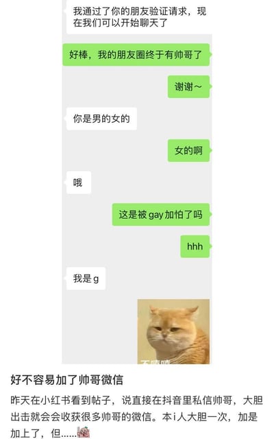 这是一张模拟微信聊天记录的搞笑梗图。用户称在小红书看到攻略后，在抖音私信帅哥并成功添加微信，激动表示“朋友圈终于有帅哥了”。对话中用户询问性别，对方先答“女的啊”，用户调侃“这是被gay加怕了吗”，对方却回复“我是g”（谐音“gay”），结尾配上一只表情冷漠的橘猫图片。下方文字补充“好不容易加了帅哥微信...但.....”，形成强烈反转笑点。
双关/谐音梗：“我是g”中的“g”谐音“gay”，制造性别认知反转的喜剧效果。