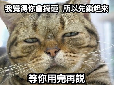 这是一张以猫咪为主角的梗图，画面中猫咪表情严肃，配有大字注释：“我觉得你会掉屑，脸都给糊起来”。这句话带有网络调侃语气，意思是对某人（或某事）表示“嫌弃”，甚至不愿看到对方的脸，于是故意将其处理掉，制造一种幽默的效果。整体风格带有搞笑、无奈和一点点狠心的调侃意味。此类用猫为主体的梗图，在宠物圈和年轻群体中十分流行。文本暗示了“掉屑”这个网络抽象负面形象（比如指人邋遢），同时模糊处理也有一种视觉上的“双关”：不仅是字面上的“掉屑”，也将人物脸糊掉“掉面子”。