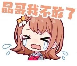 一张卡通风格的表情包，画面中有一个棕色头发的女孩，头上戴着白色蝴蝶结发饰，身穿红色领结的衣服。女孩双眼紧闭，眉头紧锁，嘴巴张开大哭，脸上挂着泪珠，周围还有水滴状的汗珠。图片上方有橙色文字“晶哥我不敢了”，整体表现出害怕、求饶的情绪。