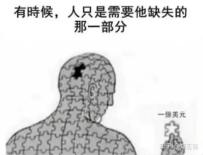 这张梗图展示了一个由拼图组成的人，其头部缺失了一块，旁边放着一块标有“一亿美元”的拼图块。配文“有时候，人只是需要他缺失的那一部分”，表达了金钱可以填补内心空缺的讽刺与自嘲意味。整体画风简洁，常用于网络上表达对财富的向往与调侃，具有明显的反讽和幽默特色。