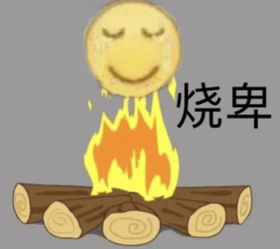 图片中展示了一个黄色的笑脸表情，双眼紧闭，脸上有两行泪水滑落，正位于一堆燃烧的篝火上方，火焰呈现橙黄色。笑脸下方是交叉堆叠的木柴，篝火熊熊燃烧。在篝火的右侧，有黑色的中文文字“烧卑”。整体背景为灰色，画面简洁，主要通过卡通化的笑脸表情和篝火场景，配合文字形成视觉效果。