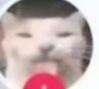 这是一张经过P图改编的猫咪表情包，真实猫咪的嘴部被一个红色圆形物体覆盖，猫咪眼神茫然，整体呈现出一种搞笑、无措的视觉效果，适合在聊天中用来表达惊讶、无语或者被“堵住嘴”的情绪，没有双关、谐音梗等内容。