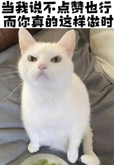 一张猫咪表情包，图片主体是一只白色的猫，它坐在灰色的毯子上，耳朵竖起，眼睛看向前方，表情看起来有些不满和无奈。图片上方有一行黑色加粗文字：'当我说不点赞也行而你真的这样做时'。这张图通过猫咪的表情和文字内容，幽默地表达了人们嘴上说不用点赞但实际上希望被点赞的矛盾心理。
