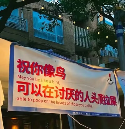 这是一张挂在户外的横幅图片，横幅上用大红字写着“祝你像鸟可以在讨厌的人头顶拉屎”，还配有英文直译版：“May you be like a bird, able to poop on the heads of those you dislike.” 语气幽默、略带恶搞，表达了一种希望能无视讨厌的人并对其恶作剧的寓意，带有明显的双关和暗示色彩，让看到的人会心一笑。

谐音/双关说明：这里用“像鸟拉屎”来表达一种报复或无所谓的态度，是一种戏谑的祝福形式。