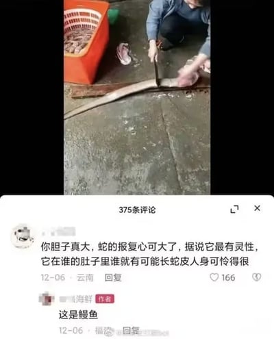 图片上半部分显示一人跪地，用刀在木板上处理一条细长的水生动物，旁边橙色篮子里放有其他海鲜。下半部分是评论区：云南网友留言称“你胆子真大，蛇的报复心可大了，据说它最有灵性，它在谁的肚子里谁就有可能长蛇皮人身可怜得很”，海鲜卖家作者回复“这是鳗鱼”。整体场景因将鳗鱼误认作蛇引发的夸张担忧与卖家的简洁澄清形成幽默对比。