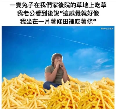 图片上方文字描述了一只兔子在自家后院草地上吃草，老公看到后幽默比喻'这感觉就好像我坐在一片薯条田里吃薯条'。下方配图是一个人坐在金黄色的薯条堆中，双手拿着薯条正在享用，背景是晴朗的蓝天。通过将兔子吃草的自然场景与人类坐在薯条田中吃薯条的荒诞想象对比，制造出轻松搞笑的效果。