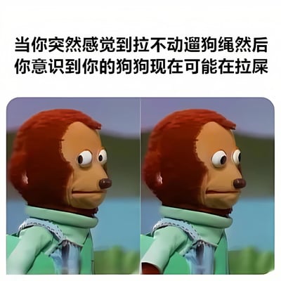 图片上方配有文字“当你突然感觉到拉不动遛狗绳然后你意识到你的狗狗现在可能在拉屎”，下方是两张相同的红毛木偶角色侧身转头观望的图片，背景为模糊的户外山水景色。文字描述了宠物主人遛狗时遇到的真实又略带尴尬的场景，通过木偶角色平静的表情形成幽默对比，展现养狗过程中的趣味瞬间。