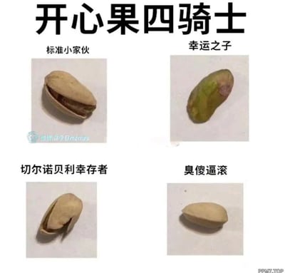 这是一张以“开心果四骑士”为主题的趣味分类梗图，通过实拍四种不同状态的开心果，并搭配极具网感的搞笑标签进行分类，精准吐槽人们吃开心果时遇到的不同场景：1. 「标准小家伙」：指正常开口、能轻松取食果仁的带壳开心果，是最常见的类型；2. 「幸运之子」：指没有外壳的完整开心果仁，是吃开心果时最让人惊喜的“幸运款”；3. 「切尔诺贝利幸存者」：用调侃的方式形容外壳变形、开口怪异的带壳开心果，暗喻其状态如同经历过灾难般怪异；4. 「臭傻逼滚」：直白吐槽完全闭合、无法徒手打开的带壳开心果，这类开心果是吃的时候最让人恼火的类型，用粗俗的口语化表达放大这种烦躁感。整张图用生活化的场景和幽默的网感吐槽，精准戳中人们吃开心果时的共鸣点，十分接地气。