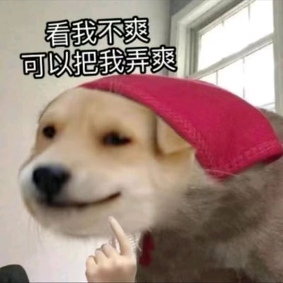 这是一张经过二次创作的搞怪表情包，主体是一只被编辑过的狗狗：它的头上被P了一条红色内裤当作帽子，嘴角上扬露出欠揍又得意的表情，还被配上了一个比中指的人类手势。图片上方配文“看我不爽可以把我弄爽”，用玩梗的方式传递出一种摆烂又带着挑衅的戏谑态度，适合在和朋友日常互怼、开玩笑的社交场景中使用，整体风格荒诞搞笑。