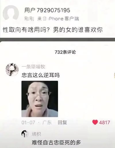 该图是国内社交媒体的评论区截图，顶部是用户“用户7929075195”通过iPhone客户端发布的动态，内容为“性取向有啥用吗？男的女的谁喜欢你”，该动态下方显示共有732条评论。第一条高赞评论来自用户“一条犟喵牧”，配文“忠言这么逆耳吗”，同时搭配了一张戴眼镜男子面露震惊错愕、嘴巴微张的表情包，该条评论发布于1月7日广东，获赞4817。在其下方还有用户“燏枳”的评论：“难怪自古忠臣死的多”，用戏谑的方式呼应上一条评论，暗指原动态的内容虽然扎心但却是事实，调侃原动态发布者说出了太过真实的残酷真相，整体氛围搞笑又扎心，是网络上常见的吐槽单身现状的梗。