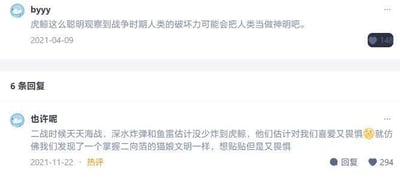 该图片为社交媒体评论截图，包含两条用户评论。第一条评论来自用户“byyy”（发布于2021-04-09），提出虎鲸因观察到战争时期人类的破坏力，可能将人类视为神明；第二条评论为用户“也许呢”的热评（发布于2021-11-22），补充称二战海战中深水炸弹和鱼雷可能频繁波及虎鲸，导致它们对人类产生喜爱又畏惧的复杂情感，并用“发现掌握二向箔的描娘文明，想贴贴但又畏惧”的比喻加以调侃。