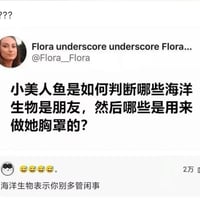 小美人鱼
