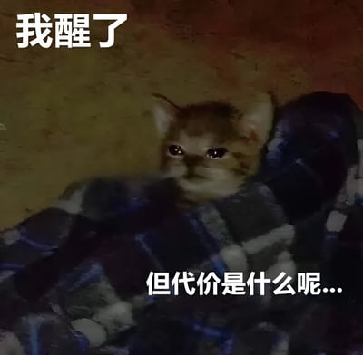 图片中是一只小猫躺在蓝白格子毯子上，背景为暖色调。上方有白色文字“我醒了”，下方有白色文字“但代价是什么呢...”。小猫眼神迷茫地望向镜头，配合文字形成一种幽默的反差感，仿佛在表达醒来后对需要面对的事情感到无奈或疑惑。