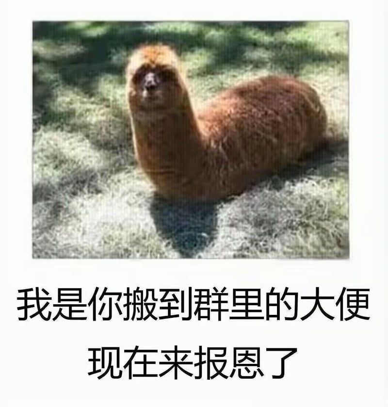 猴子
