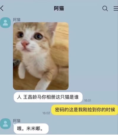 这是一张聊天界面截图，联系人名为'阿猫'。界面中展示了一张可爱的小奶猫照片，小猫毛色为浅棕白相间，正睁着圆溜溜的大眼睛抬头望。聊天内容中，对方发来消息'人 王昌龄马你相册这只猫是谁'（疑似输入错误，可能想表达'问你相册里这只猫是谁'），阿猫回复'密码的这是我刚捡到你的时候'（'密码的'可能为口癖或谐音梗），随后补充'哦。米米嘟。'，推测'米米嘟'是小猫的名字。整体氛围轻松可爱，带有幽默的对话错位感。