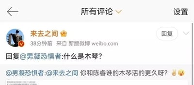 该图片为微博评论区截图，显示用户"男凝恐惧者"向"来去之间"提问："你和陈睿谁的木琴活的更久呀?"，随后"来去之间"回复"什么是木琴?"。界面包含用户头像、发布时间、来源平台等信息，整体为典型的社交媒体评论互动场景。