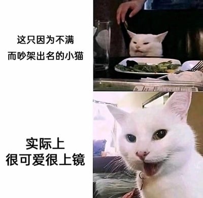 这是一张上下拼接的对比图文，上图是因「不满吵架」走红的经典白猫meme截图，猫咪被手按在餐桌旁，表情烦躁，看起来像是在与人争执；下图是这只白猫的真实日常照片，它圆睁双眼、吐着舌头，神态软萌可爱。通过前后强烈的反差，打破了网友对这只猫的固有「暴躁」印象，充满趣味。