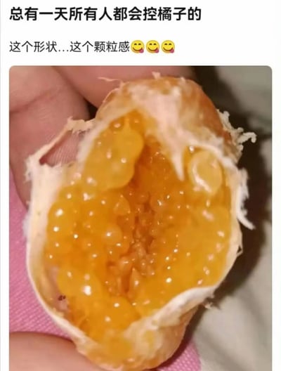 图片展示了一只手握着一个剥开的橘子，特写其内部饱满多汁、颗粒分明的果肉。上方配有文字“总有一天所有人都会控橘子的”和“这个形状...这个颗粒感😊😊😊”，表达了对橘子独特形状和颗粒质感的喜爱与推崇。画面聚焦于橘子果肉的细节，突出其晶莹剔透的质感和诱人的色泽，传递出对橘子口感的赞叹。