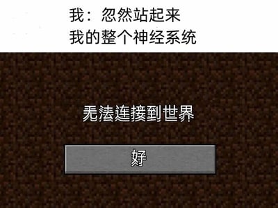 这是一张结合了文字和游戏界面的搞笑梗图，上方分为两行文字，第一行是“我：忽然站起来”，第二行是“我的整个神经系统”；下方是游戏《我的世界》（Minecraft）的经典报错界面，背景是游戏里的深色方块纹理，中间显示白色文字“无法连接到世界”，下方有一个灰色的“好”字确认按钮。该梗图用游戏中无法连接服务器的提示，生动形象地调侃了现实生活中，人忽然站起来时，由于体位性低血压导致大脑短暂供血不足，出现头晕、反应迟钝的状态，仿佛神经系统和身体“断连”，十分贴切地还原了这种日常小尴尬，充满生活趣味。