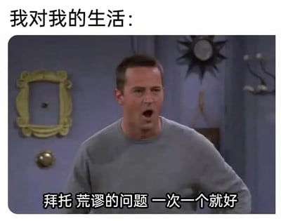这是一张《老友记》电视剧截图改编的梗图，展示了钱德勒·宾（Chandler Bing）震惊大喊的经典表情。图片上方配有文字“我对我的生活：”，下方文字为“拜托 荒谬的问题 一次一个就好”，通过钱德勒夸张的表情和幽默的文字结合，表达了面对生活中接踵而至的荒谬问题时的无奈与崩溃情绪。