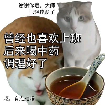 这是一张经典猫咪梗图，猫咪脸部露出略显痛苦和无奈的表情，配合一碗中药和“曾经也喜欢，后来喝中药调理好了”等大字，表达“以前喜欢某事物，但现在‘被治好’了”的自嘲情绪。文字结合了网络流行梗，语气幽默，适用于吐槽、发圈、表达自省或改变。猫咪难以下咽的表情和“有点难喝”的小字，进一步加强了幽默和戏谑氛围。此类型用以调侃“情感戒断”或“思想转变”等场景。