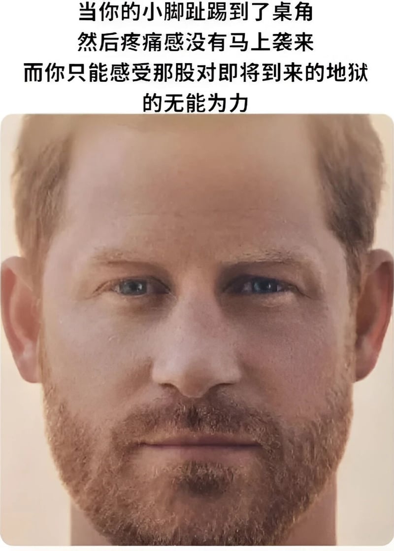 哈里王子