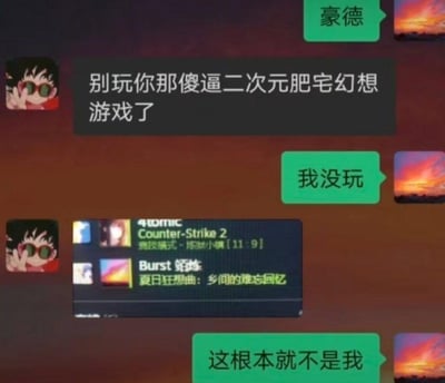 这是一张聊天记录截图，展示了一个有趣的对话场景。左侧用户使用动漫角色头像，对名为"豪德"的用户说："别玩你那傻逼二次元肥宅幻想游戏了"。豪德则否认："我没玩"、"这根本就不是我"。然而屏幕下方显示的游戏列表却暴露了真相，其中包含《Counter-Strike 2》和二次元风格游戏《Burst 矩妹：夏日狂想曲：乡间的难忘回忆》。图片通过人物否认与实际游戏记录的矛盾制造出搞笑效果，展现了被抓包玩二次元游戏时的尴尬瞬间。