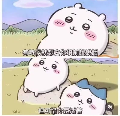 这是一张上下分镜的二创连环梗图，使用日本人气IP《chiikawa》（吉伊卡哇）的动画素材制作。上半部分中软萌的白色角色吉伊坐在户外草地上，配文“有时候就想去你坟前说说话”；下半部分吉伊趴在一块石头上，石头旁露出了戴蓝色蝴蝶结的角色小八的头，配文“但可惜你还活着”。整张图用可爱治愈的卡通画风搭配极具攻击性的损人台词，反差感强烈，用来抒发对他人的不满情绪，阴阳怪气的吐槽效果十足。