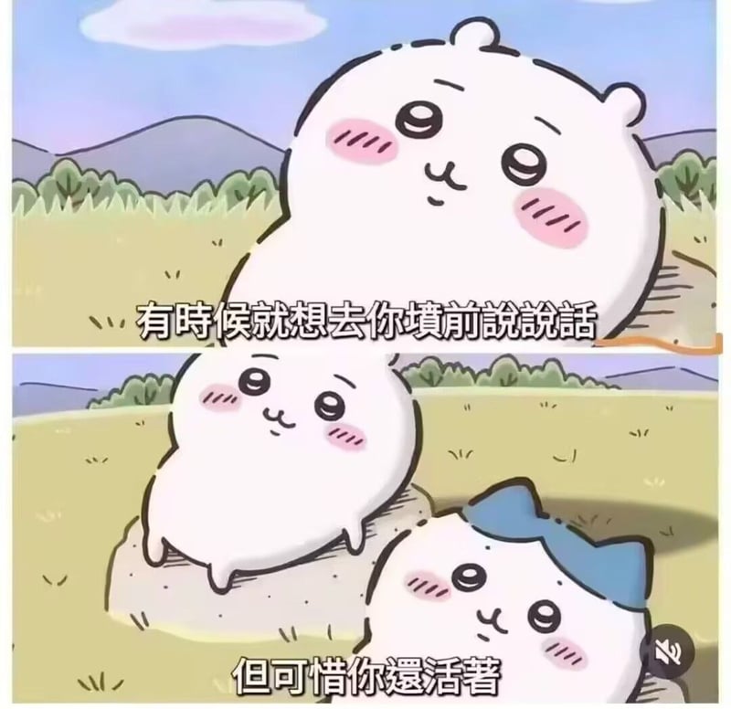 哈奇瓦力