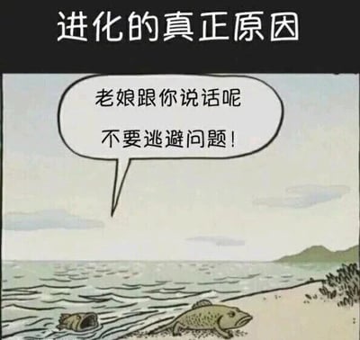 这是一张趣味恶搞的静态卡通漫画图，属于文字加注图与带对白气泡图的结合。图顶配有标题‘进化的真正原因’，画面呈现海边场景：一条鱼从海水中探出头，表情不满地对着已经爬到沙滩上的另一条鱼喊话，内容为‘老娘跟你说话呢 不要逃避问题！’。这张图以幽默的方式解构生物进化论，将鱼类从海洋走向陆地的进化行为，调侃成是为了逃避伴侣的唠叨与追问，用生活化的日常场景和夸张的联想制造反差笑点，讽刺了生活中有些人面对沟通时选择逃避的行为。