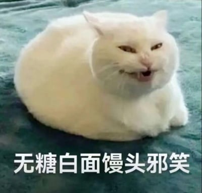这张图片是一张趣味表情包，主体是一只身形圆润蓬松的白色猫咪，它的外形酷似一个无糖白面馒头，同时猫咪的脸部被修改出狡黠的邪笑表情，嘴角歪斜、眼神戏谑，搭配图片下方的文字“无糖白面馒头邪笑”，将猫咪的外形特征和搞怪表情结合，用调侃的方式制造出反差搞笑的效果，能够生动传递出使用者带有小坏心思、狡黠搞怪的情绪。