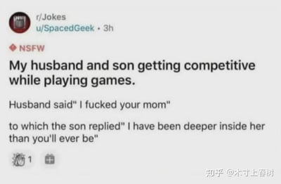 这是一张分享荤段子的图文截图，以妻子/母亲的视角讲述丈夫和儿子玩游戏时，因为好胜心爆发而互放狠话的趣事：丈夫用脏话“我睡了你妈”攻击儿子，儿子则用一句看似低俗实则逻辑清奇的话回怼——“我曾经比你更深入她的身体”。
这个段子的笑点在于双关：儿子的回应表面是低俗的暗示，实际是指自己作为胎儿曾在母亲体内的经历，用这种无法反驳的逻辑打败了丈夫的脏话攻击，既无厘头又搞笑。