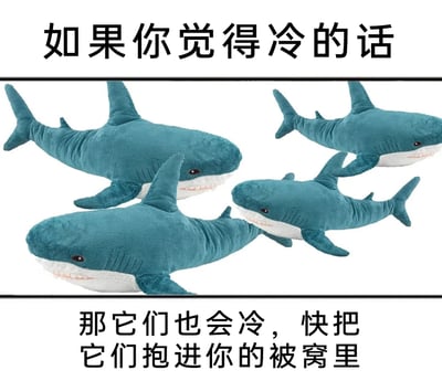 暂无描述
