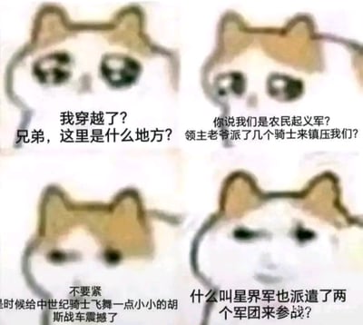 这是一组四格连环mur猫表情包，讲述了一个穿越者的搞笑心路历程：
1. 第一格：猫咪一脸迷茫，配文「我穿越了？兄弟，这里是什么地方？」，表现穿越者刚到陌生环境的困惑；
2. 第二格：猫咪带着惊恐，配文「你说我们是农民起义军？领主老爷派了几个骑士来镇压我们？」，展现得知自身处境后的慌张；
3. 第三格：猫咪表情放松，配文「不要紧 是时候给中世纪骑士飞舞一点小小的胡斯战车震撼了」，主角准备用历史上的胡斯战车应对，显得胸有成竹；
4. 第四格：猫咪一脸震惊，配文「什么叫星界军也派遣了两个军团来参战？」，剧情突然跳转到战锤40k的世界观，跨世界观的巨大反差制造出强烈的搞笑效果。
这张图结合了中世纪农民起义的历史梗与战锤40k的科幻梗，胡斯战车是中世纪捷克胡斯战争中的著名武器，星界军是战锤40k世界观中人类帝国的主力军队，这种混搭玩梗的方式让笑点拉满。