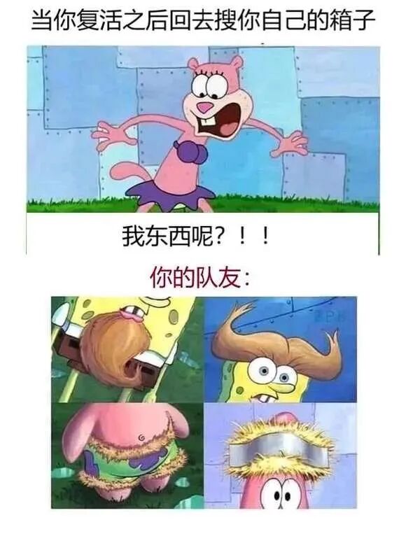 珊迪·奇克斯