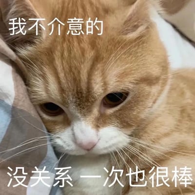 一张橘猫的特写照片，猫咪有着橙黄色的毛发和白色的口鼻部，正趴在柔软的表面上。图片上方有文字"我不介意的"，下方有文字"没关系 一次也很棒"。猫咪的表情看起来有些淡然或略带忧郁，与文字内容形成一种反差萌的效果，常用于表达表面不在意但可能内心有所想法的幽默场景。