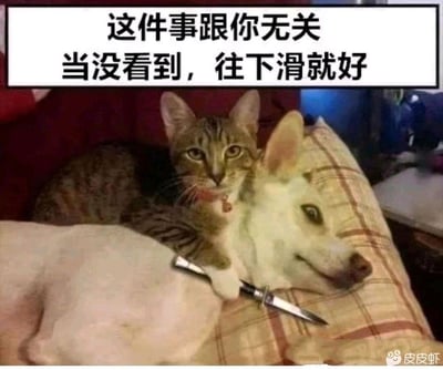 这是一张经过图像拼接合成的搞笑梗图，画面通过视觉错位，将狸花猫的身体与白狗的头部拼接在一起，狸花猫的爪子握着一把小刀抵在拼接后的“狗身”上，营造出猫“挟持”狗的荒诞场景。图上方配有文字“这件事跟你无关 当没看到，往下滑就好”，用假装“威胁”的戏谑语气，让看到的人当作没看见这个画面，制造出滑稽好笑的氛围，没有双关或谐音梗，纯靠视觉错位和文字结合制造喜剧效果。