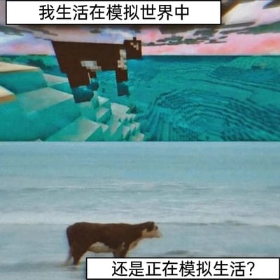 这是一张上下布局的对比式梗图，上图展示了沙盒游戏《我的世界》中的像素化奶牛，它出现在游戏里的像素海洋地形上空，上方配文“我生活在模拟世界中”；下图则是现实场景里的一头奶牛，正站在海边的浅滩中，下方配文“还是正在模拟生活？”。这张图通过虚拟游戏场景与现实场景中相似的核心元素——奶牛与水域，构建出一个充满哲学趣味的疑问，以幽默的方式探讨虚拟与现实的边界，引发观者对“我们所处的世界是否为模拟，或是我们在刻意模拟某种生活”的思考。