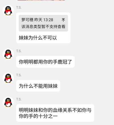 这是一段手机QQ的聊天记录截图，用户T.S.针对一条显示“该消息类型暂不支持查看”的内容，接连发出质问：疑惑为什么不能用“妹妹”，同时指出对方已经用了“手鹿冠”，还调侃“妹妹和你的血缘关系不如你与你的手的十分之一”，逻辑清奇，充满迷惑感。图中没有双关、谐音梗或暗示类内容。