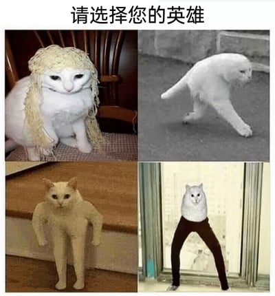 这是一张模仿游戏选英雄界面制作的四格拼接搞笑图片，顶部配有文字‘请选择您的英雄’。四格内容均为经过P图合成的荒诞猫咪形象：左上是头顶和身侧挂着类似面条的物品、仿佛戴着怪异假发的白猫，端坐且眼神无奈；右上是肢体扭曲、姿态怪异的白猫，正以奇特的姿势挪动；左下是猫咪头部搭配人类手臂与腿部，撑在台面上，表情严肃；右下是猫咪头部与穿着黑裤子的人类双腿拼接，双腿分开站立，眼神惊讶。这些合成图通过视觉错位、图像拼接的方式制造出荒诞搞笑的效果，属于网络流行的趣味迷因内容。