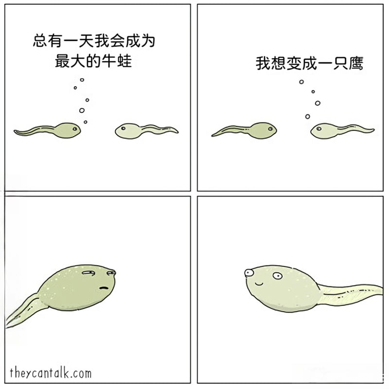 蝌蚪