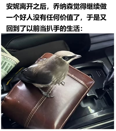 这张梗图由真实照片和上方文字构成。照片中一只鸟站在汽车中控台的棕色钱包上，旁边露出部分美元钞票；上方文字讲述虚构故事：安妮离开后，拟人化的鸟乔纳森放弃做好人，回归扒手生活。文字与鸟站在钱包上的画面形成幽默呼应，将鸟的行为拟人为扒手动作，制造搞笑效果。