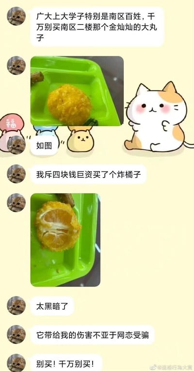 这是一段社交媒体聊天记录截图，一位大学生发文提醒同校南区的同学，不要购买南区食堂二楼的“金灿灿大丸子”。该学生花费四块钱购买后，发现这个外观金黄圆润、看似炸丸子的食物，实际是炸橘子，完整时的外形极具迷惑性，掰开后则露出橘子的内部结构。该同学用夸张且幽默的语气吐槽这次经历，称其带来的伤害不亚于网恋受骗，反复强调千万别买这个食物，充分表达了自己被“欺骗”的不满和无奈。