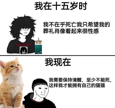 这是一张上下对比的双栏梗图，通过夸张的反差展现成长前后的心态变化。上栏标题为“我在十五岁时”，搭配黑色凌乱发型的动漫角色，配文“我不在乎死亡我只希望我的葬礼肖像看起来很性感”，体现青春期特有的叛逆与中二；下栏标题“我现在”，左侧是真实拍摄的橘猫照片，右侧为简笔画风格的连帽衫人物，配文“我需要保持清醒，至少不能死，这样我才能拥有自己的猫猫”，展现成年后被生活琐事（吸猫）牵绊的务实心态。整体通过幽默的方式调侃了从追求酷帅到向往平凡幸福的心理转变。