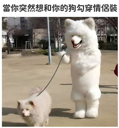 图片中，一名穿着白色蓬松狗形 costume（形似萨摩耶）的人正牵着一只真实的白色狗狗（疑似萨摩耶）在户外行走，背景有树木和建筑物。上方文字“当你突然想和你的狗勾穿情侣装”幽默地展现了主人与宠物穿同款“情侣装”的趣味场景，充满温馨与搞笑氛围。