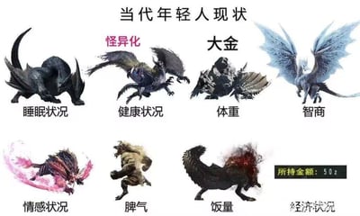 这张梗图通过《怪物猎人》系列中的不同怪物形象，对应吐槽当代年轻人的各方面生活现状：
1. 睡眠状况对应黑轰龙：黑轰龙行动隐秘且常年活跃，暗喻年轻人作息混乱、睡眠严重不足；
2. 健康状况对应怪异化怪物：怪异化是《怪物猎人：崛起》中怪物被怪异能量侵蚀后的异常状态，暗喻年轻人身体处于亚健康的“怪异化”状态；
3. 体重对应大金冠怪物：大金冠怪物是系列中体型远超普通个体的存在，暗喻年轻人体重超标；
4. 智商对应冰呪龙：冰呪龙是系列中以高智商著称的怪物，此处反讽年轻人在生活中时常智商不在线；
5. 情感状况对应泡狐龙（粉色形态）：泡狐龙的粉色形态会释放迷离的粉色雾气，暗喻年轻人的情感状态捉摸不定，常处于纠结或懵懂的状态；
6. 脾气对应金狮子：金狮子是系列中出了名的暴躁易怒怪物，暗喻年轻人脾气火爆；
7. 饭量对应凶爪龙：凶爪龙是极具攻击性、食欲旺盛的怪物，暗喻年轻人饭量大；
8. 经济状况对应所持金额50z：z是《怪物猎人》系列的货币单位，50z是极其微薄的金额，暗喻年轻人经济拮据、存款极少。
整张图用游戏玩家熟悉的怪物特性精准贴合年轻人的生活痛点，吐槽精准且充满共鸣。