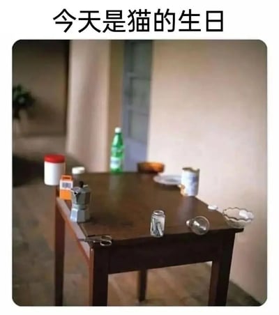 图片展示了一张杂乱的木质桌子，上面摆放着各种物品，包括绿色瓶装饮料、咖啡壶、罐头、碗碟和其他容器。图片上方配有文字“今天是猫的生日”，但整个画面中没有出现任何猫的身影，形成一种幽默的反差效果。这种“标题与内容不符”的设计制造了搞笑的意外感，让观众在寻找猫咪的过程中体会到 meme 的趣味。