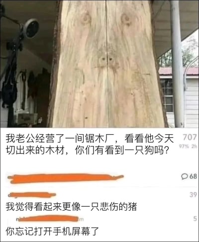 这是一张社交媒体截图，上方展示了一块从锯木厂切割出来的木材，其表面的天然纹路巧合形成了类似动物面部的图案；发布者配文介绍自己的老公经营锯木厂，当天切出的这块木材里能看到一只狗，以此询问网友是否能发现。在下方的评论区中，有网友提出这块木材的纹路看起来更像一只悲伤的猪，还有网友调侃发布者“忘记打开手机屏幕了”，整体内容围绕木材的天然视觉错觉展开，是一场充满趣味的网友互动。