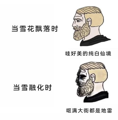 这是一张采用上下分栏对比形式的卡通梗图，精准调侃了人们面对下雪和雪融化时的截然不同的感受。上半部分场景为雪花飘落时，左侧配文“当雪花飘落时”，右侧的金发络腮胡卡通男子神态平和，配文“哇好美的纯白仙境”，还原了人们初遇下雪时被美景打动的赞叹心情；下半部分场景为雪融化时，左侧配文“当雪融化时”，同款卡通男子脸色变黑、眼神空洞，神态崩溃，配文“呕满大街都是地雷”，这里的“地雷”是对雪融化后露出的脏污路面、结冰湿滑路况的调侃，用夸张的视觉和文字反差，接地气地展现了冬季下雪后从美好到糟心的真实体验，引发人们的共鸣。